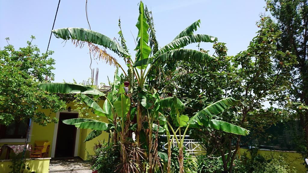 Hotel Mando Marathokampos Luaran gambar